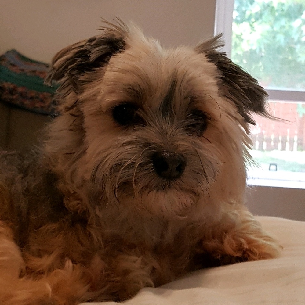 Meet your Posher, Rhea