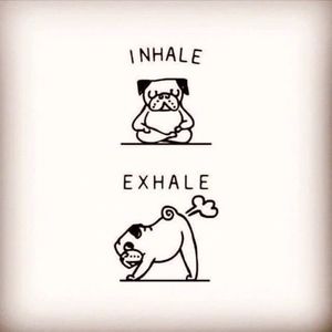 Meet your Posher, Carla