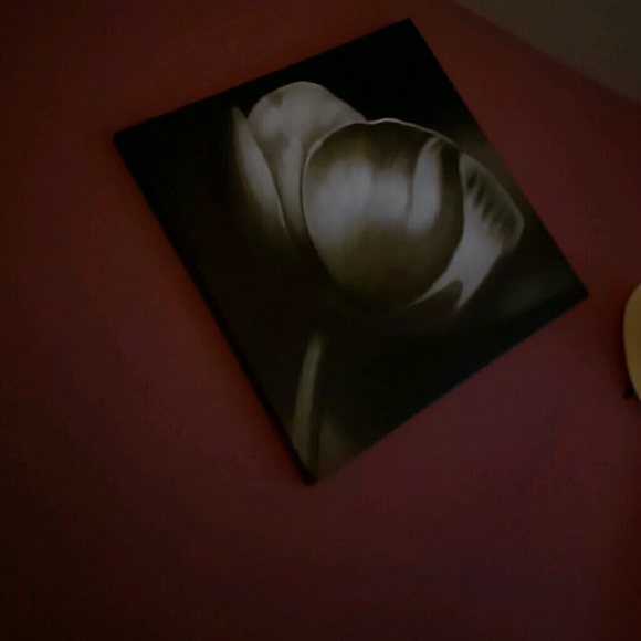 Meet your Posher, Rocio - Picture 1 of 1