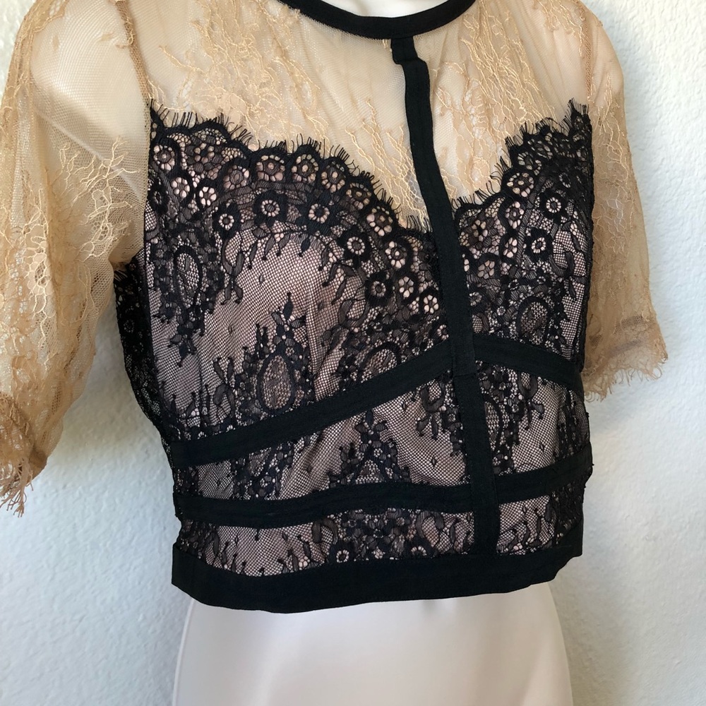 SOLD— NWT! Gorgeous lace crop top! - Picture 2 of 6