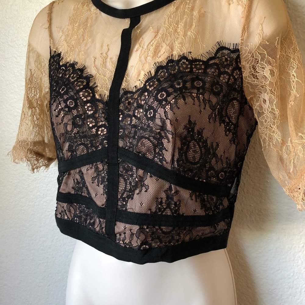 SOLD— NWT! Gorgeous lace crop top! - Picture 3 of 6