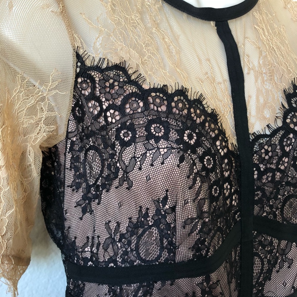 SOLD— NWT! Gorgeous lace crop top! - Picture 5 of 6