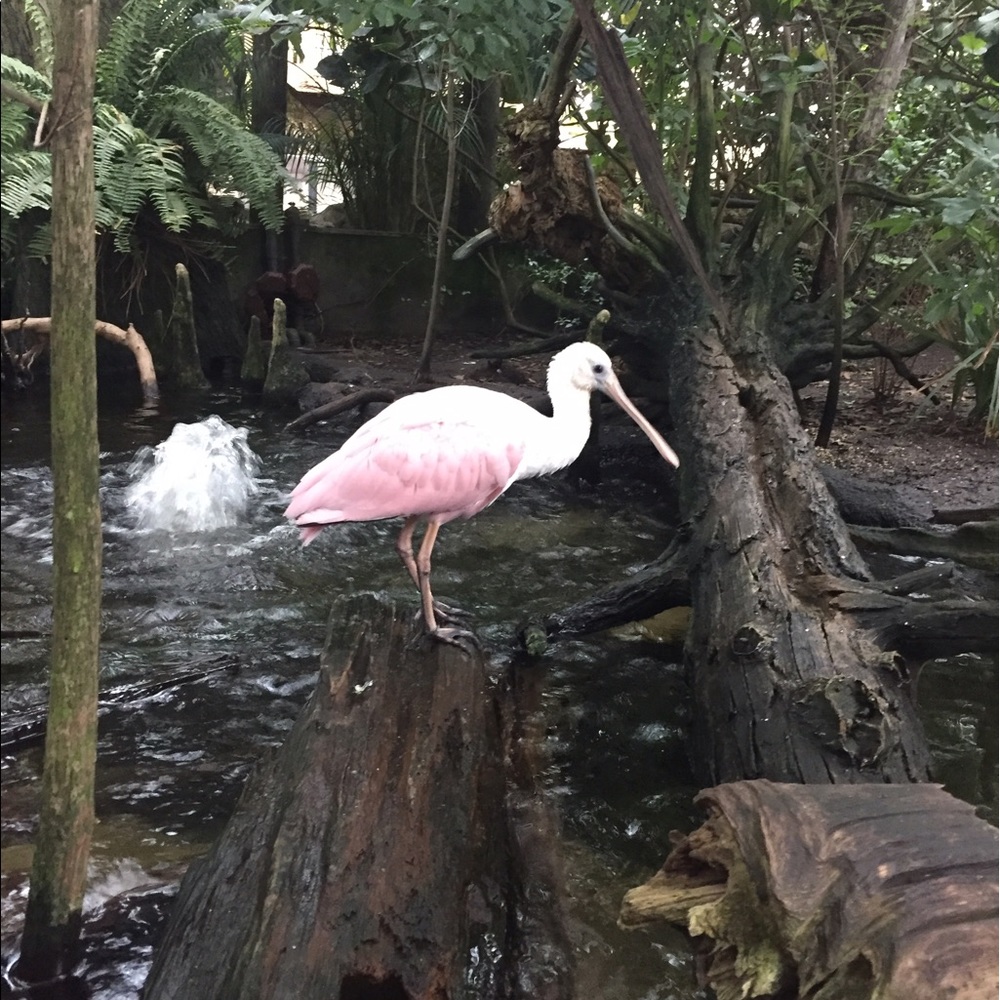 Meet your Posher, Meredith