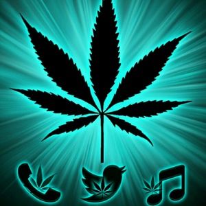 Meet your Posher, Kiara