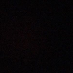 Meet your Posher, Ronnie