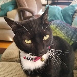 Meet your Posher, Maite