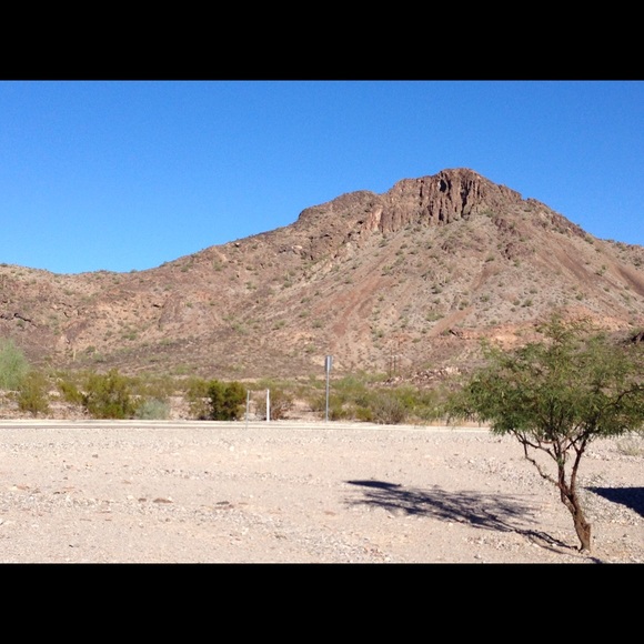 Meet your Posher, Randy - Picture 1 of 1