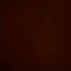 Meet your Posher, Shaun