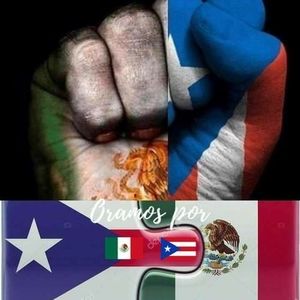 Meet your Posher, Ana ruth