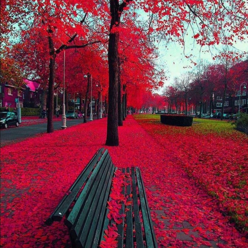 Meet your Posher, Darnetta