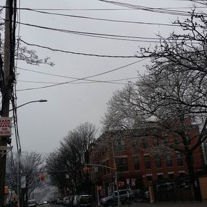 Meet your Posher, Willy