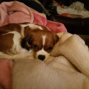 Meet your Posher, Jill