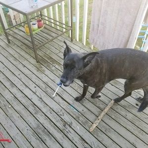 Meet your Posher, Adrianne