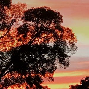 Meet your Posher, Caleb