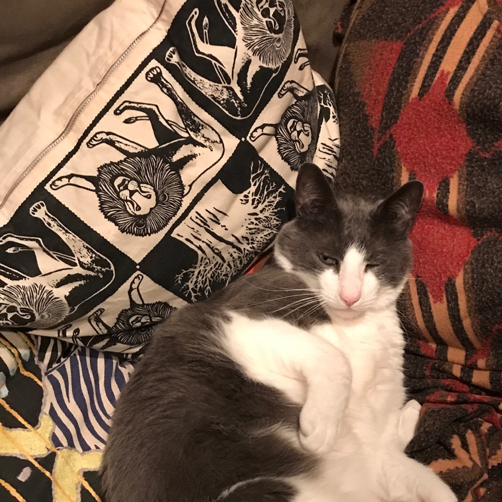 Meet your Posher, Jessica