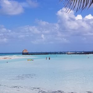 Meet your Posher, Connie