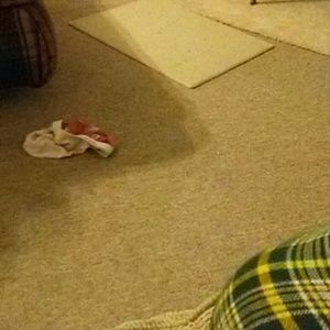 Meet your Posher, Courtney