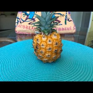 Meet your Posher, Jane