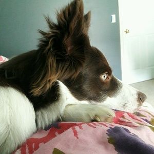 Meet your Posher, Anna