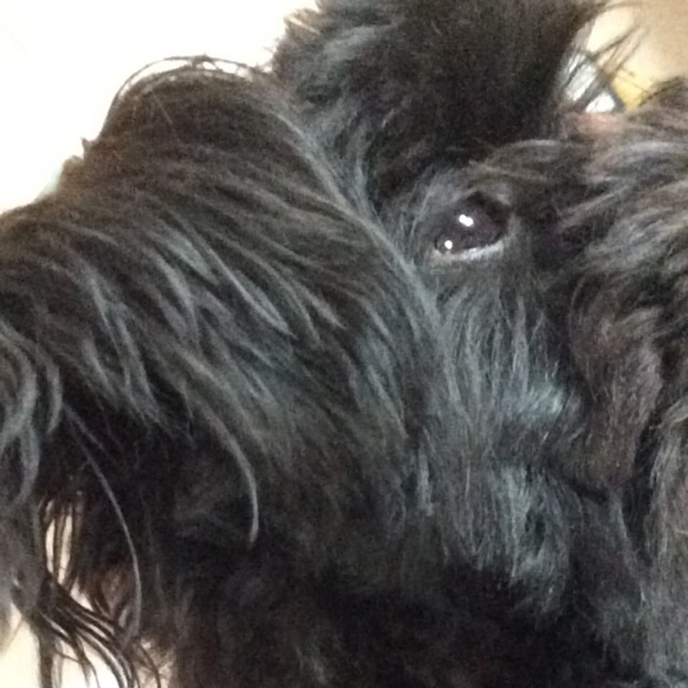 Meet your Posher, Cassandra