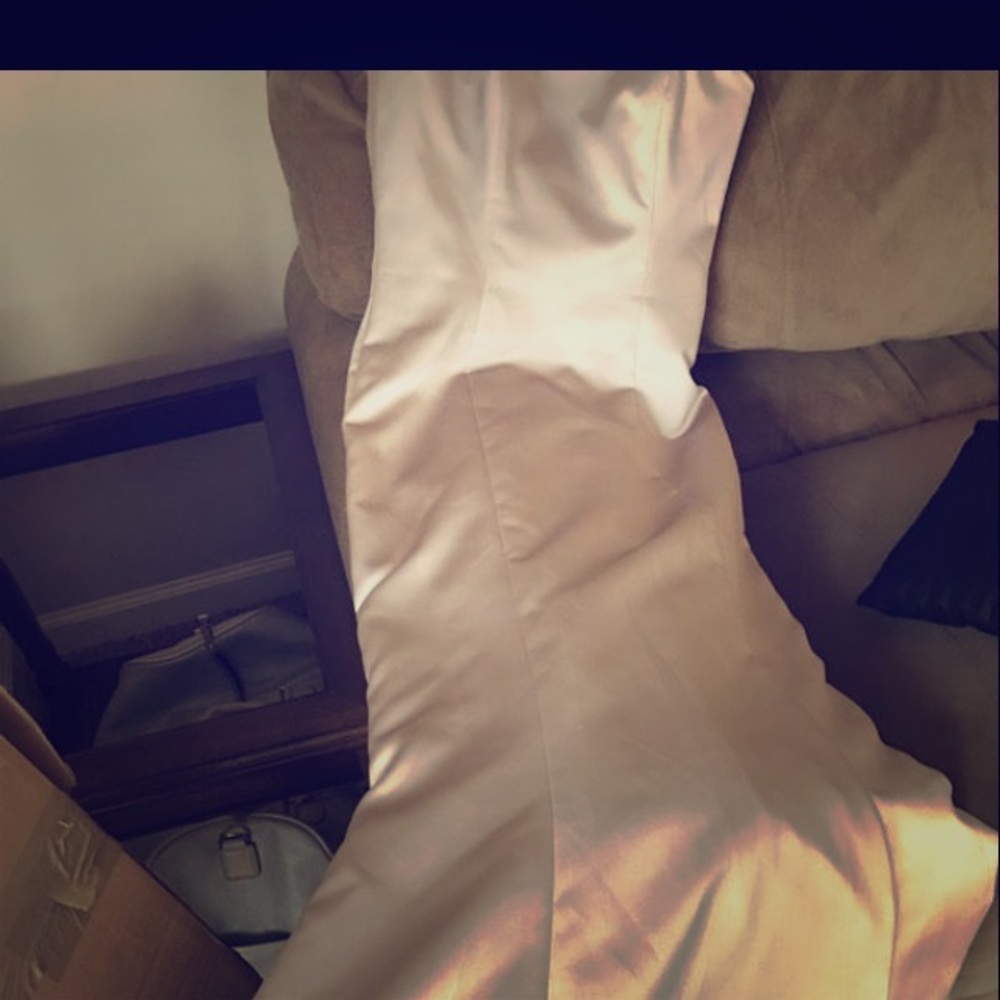 Fit and flare ivory/blush formal gown.