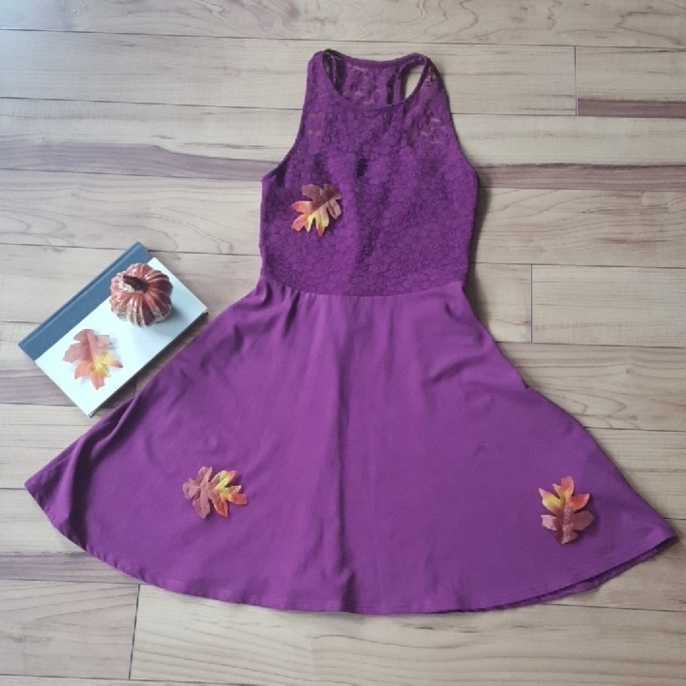 Hollister Lace Skater Dress