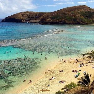 Meet your Posher, Carly