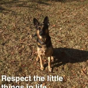 Meet your Posher, Brett