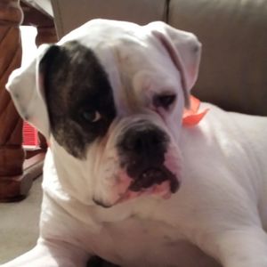 Meet your Posher, Jamie