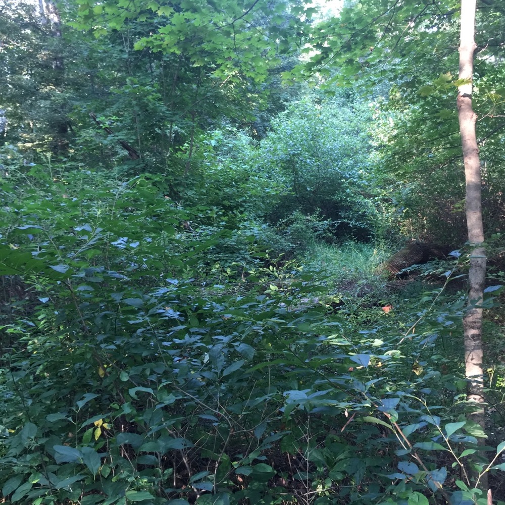 Meet your Posher, Chelsea