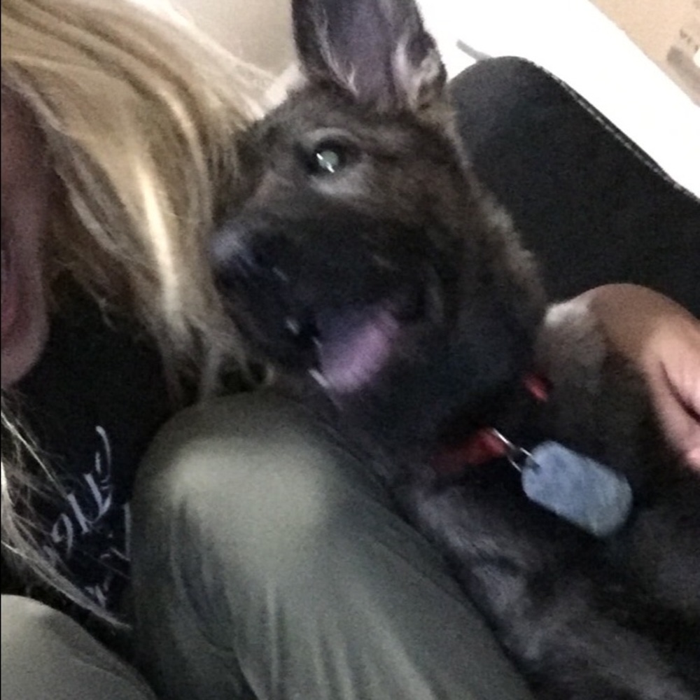 Meet your Posher, Jessica