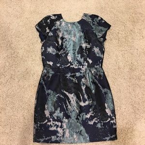 Zara dress