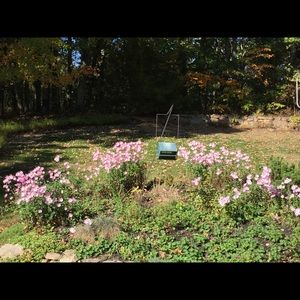 Meet your Posher, Maryanne