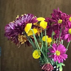 Meet your Posher, Barbara