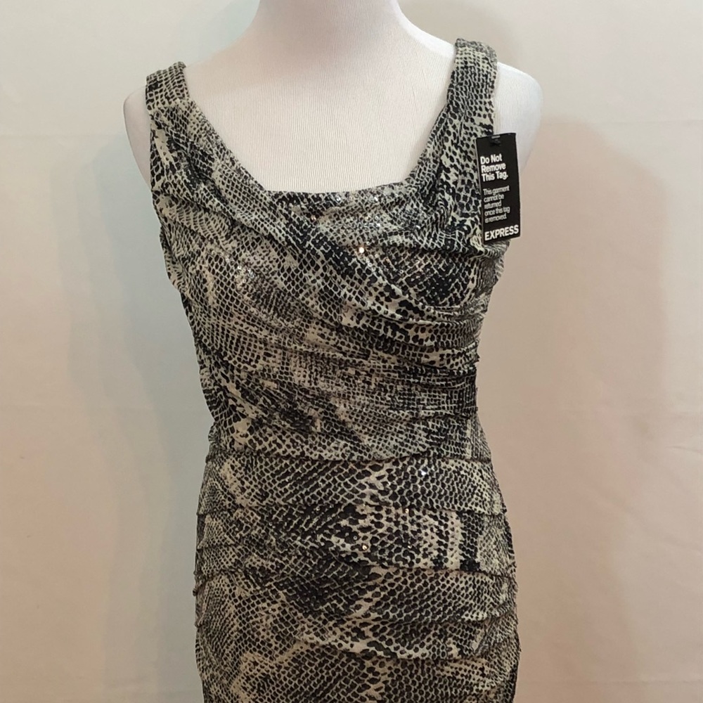 Spectacular Dress Express New