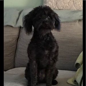 Meet your Posher, Quin