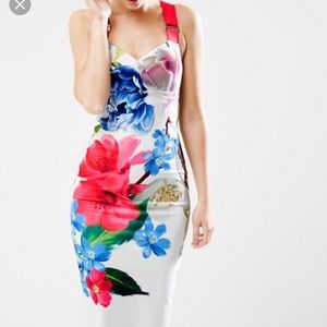 Ted Baker London Forget Me Not Midi