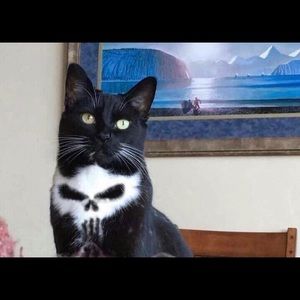 Meet your Posher, Steve