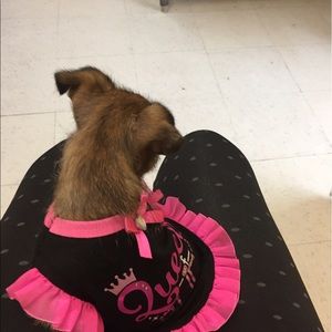 Meet your Posher, Lucia