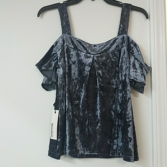 Gray Velvet Off Shoulder Top - Picture 3 of 6