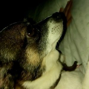 Meet your Posher, Chelsey