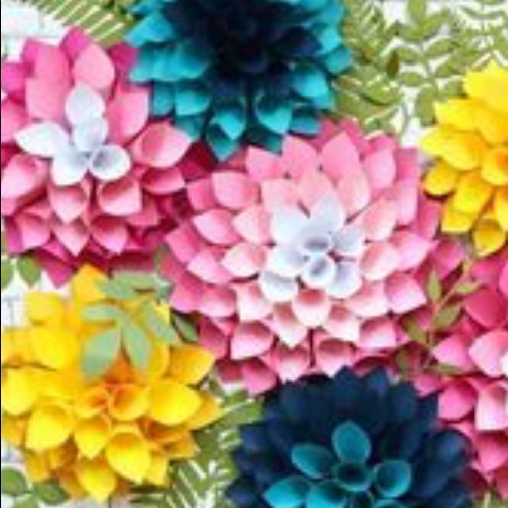 Meet your Posher, Trina