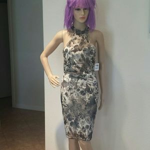 NEW Charlotte Russe Dress
