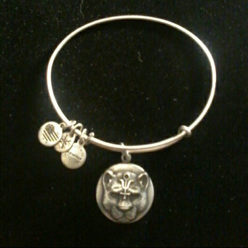 Orig NWT Alex and Ani Wild Heart Bracelet