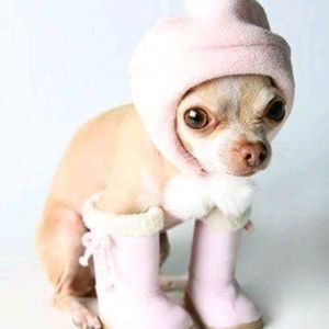 Meet your Posher, Perla