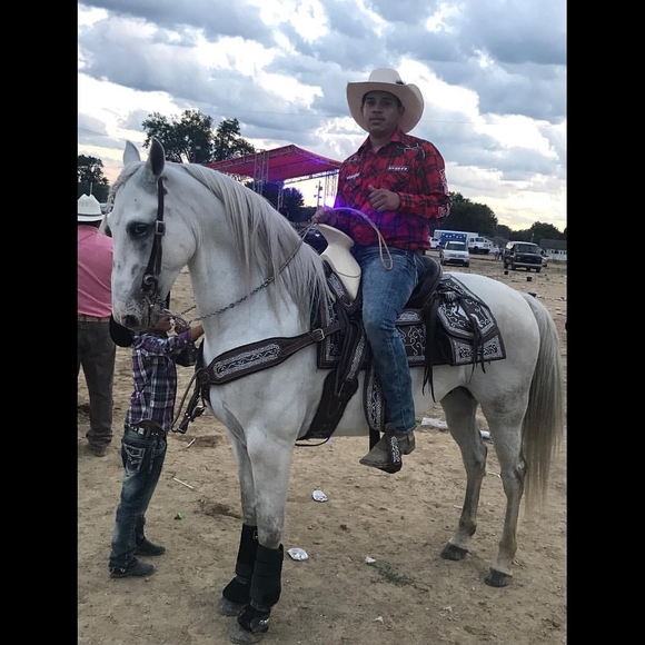 Meet your Posher, Michael - Picture 1 of 1