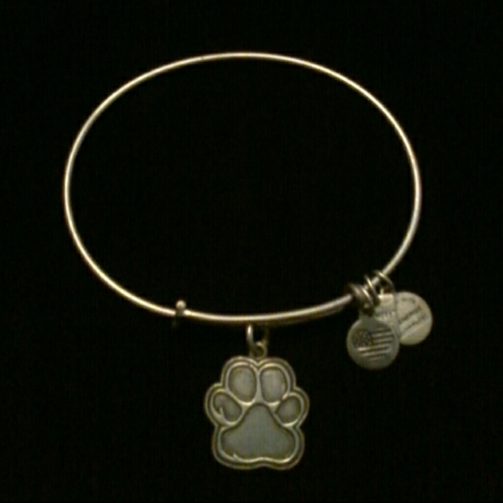 Orig Alex and Ani Prints of Love Bracelet