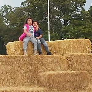 Meet your Posher, Tanya