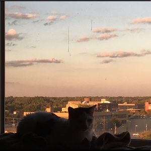 Meet your Posher, Scott