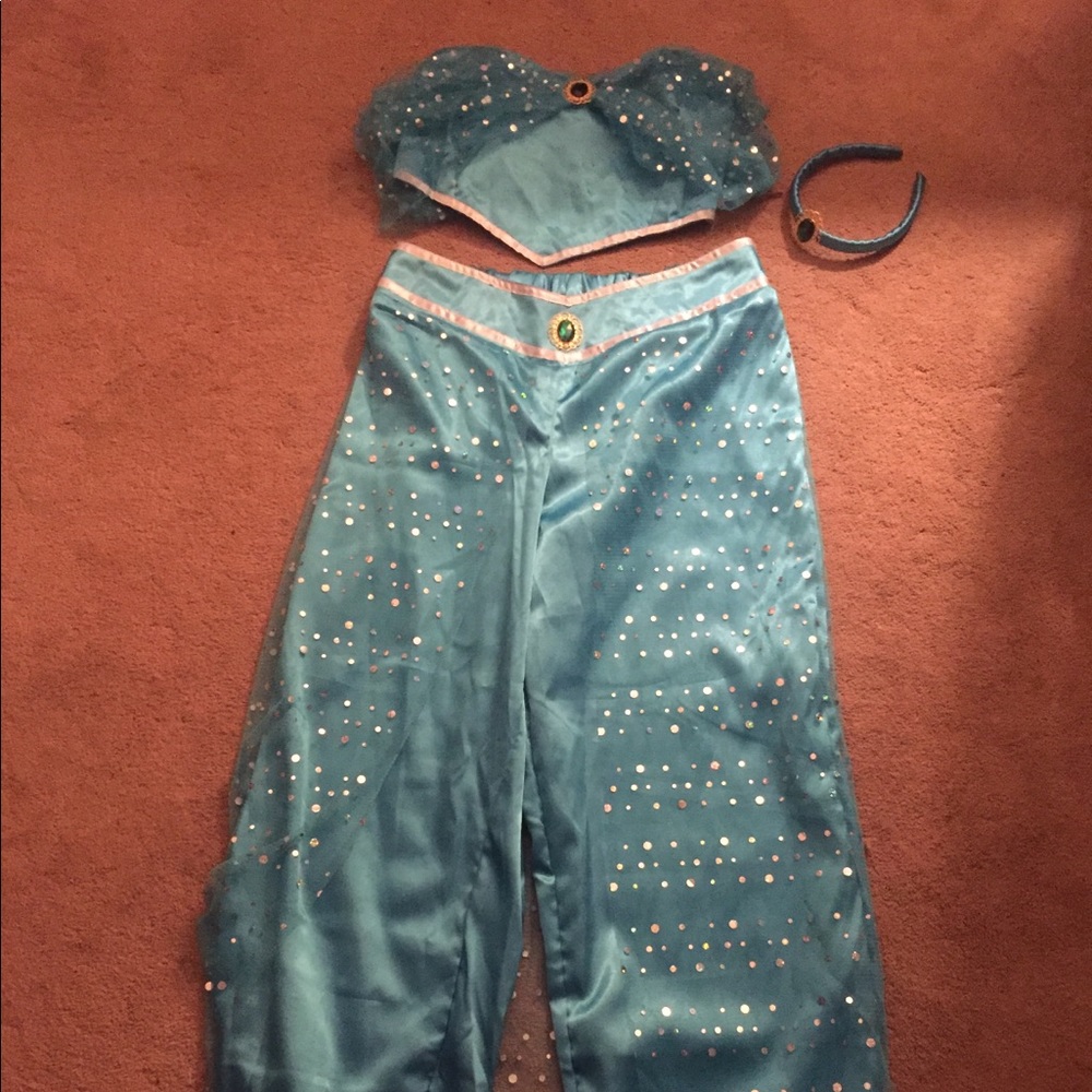 Jasmine Halloween costume- will ship today!